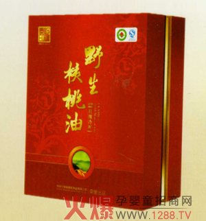 ���t�������ӳ��������\�д���