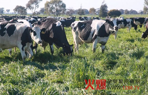 �~����I�S����Դ�� �o���Ӹ��ཡ��