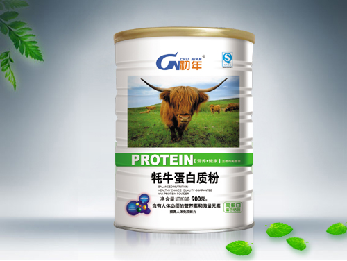 初年牦牛蛋白質粉