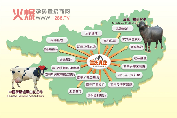 ������I �V����������I��˾