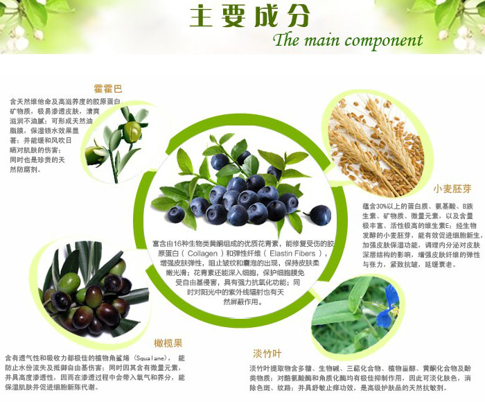 �{ݮ������y��Ħ˪ 120g