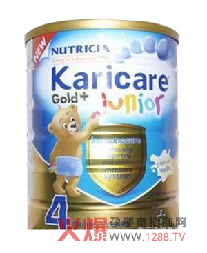 �ؑc���������Q���޹�˾2013���������