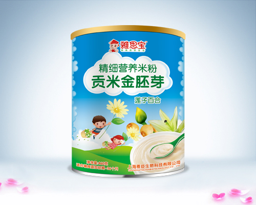 雅思寶蓮子百合貢米金胚芽營養(yǎng)米粉罐裝