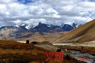 �ЈD������ ��ǧ�����|��ţ��Դ