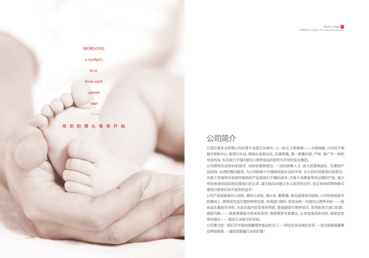 �ϲ�ؐ�ی��I���޹�˾������