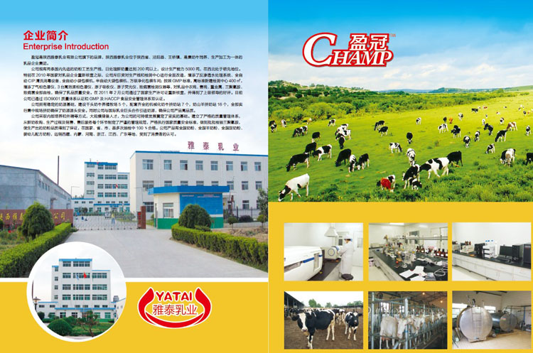 �����̩��Iӯ���I��������