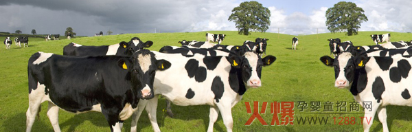 ��ޱţ���׃��̷�׌����Đ�һֱ���m