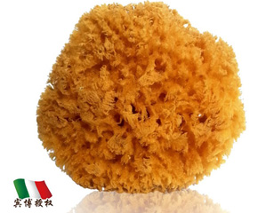 ��ɭ�Ơ���ע����Ȼ���d�aƷ���^һ�����o