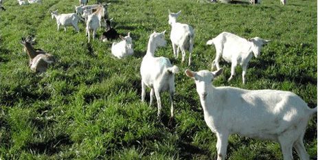 ����������Դ����������������������