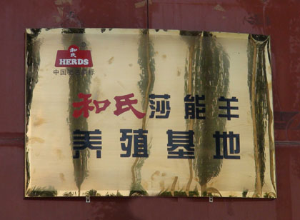 ����ɯ�����Bֳ����