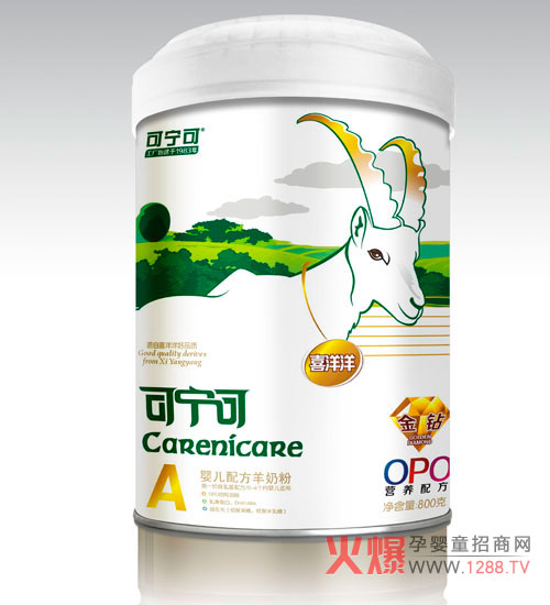 �Ɍ���ϵ�Ћ냺�䷽���̷۴���I�B��������