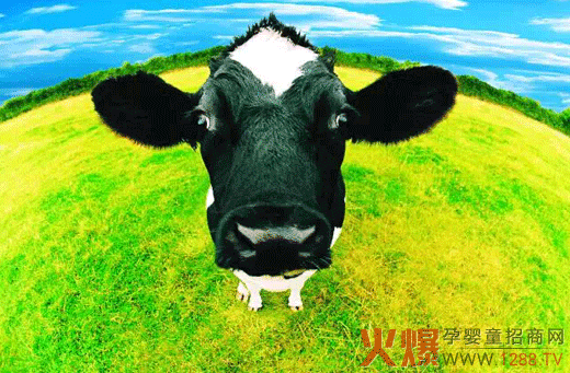 ������I������ȫ�a���� ȫ�Ğ錚������