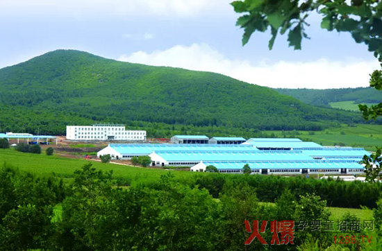 �l(f��)չ���w��(j��ng)�������_ɽ���Є���