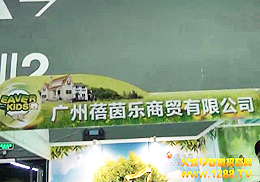 �V������(l��)���Q(m��o)���޹�˾����2012�꾩���V��չ