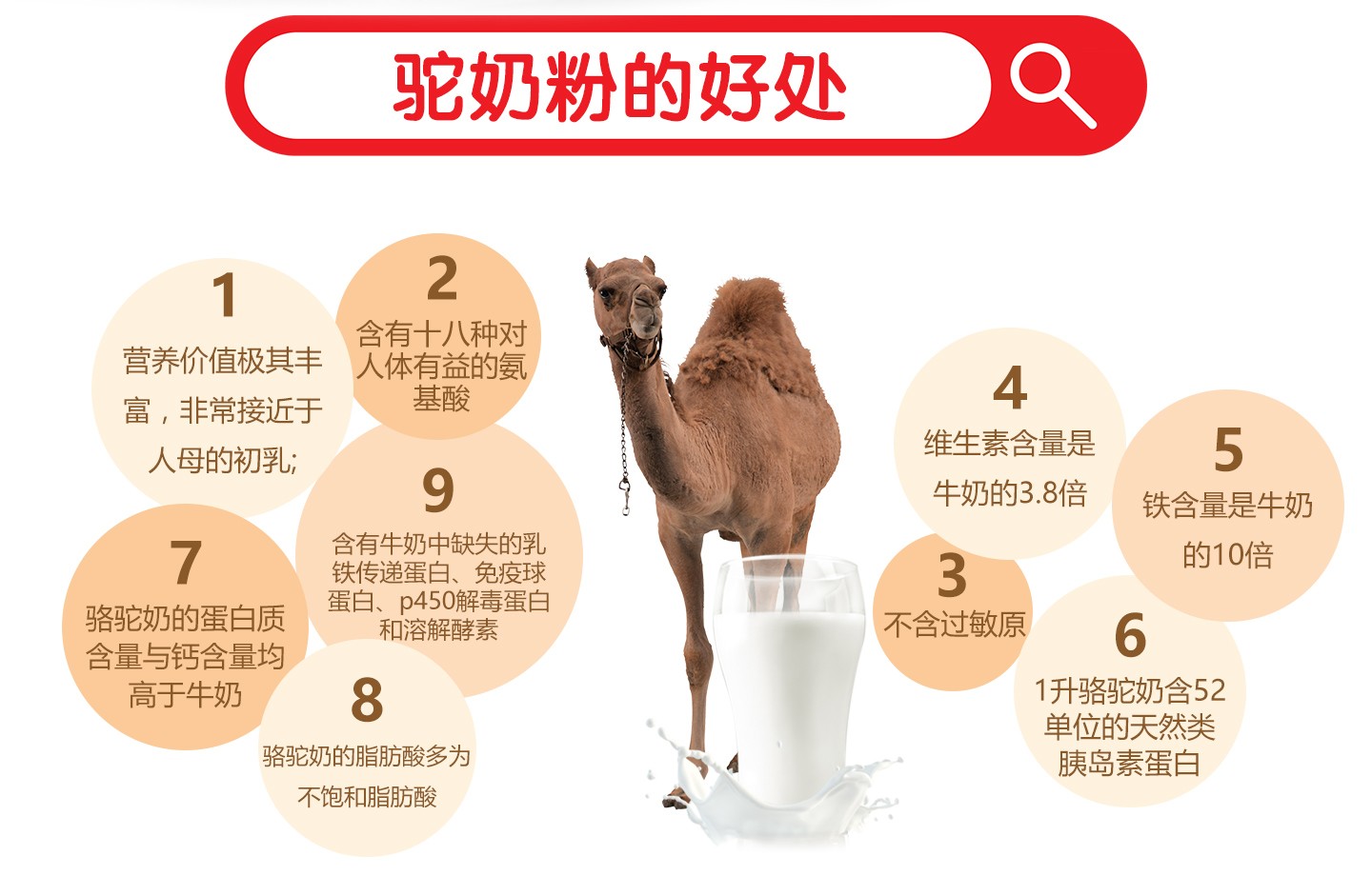 駝乳粉的好處