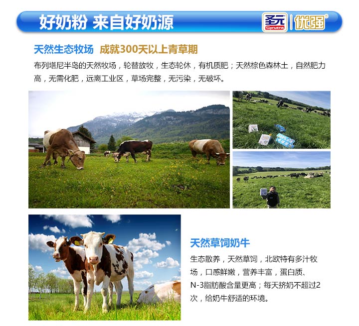  ʥԪ�����̷�05