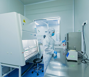  ��������S19