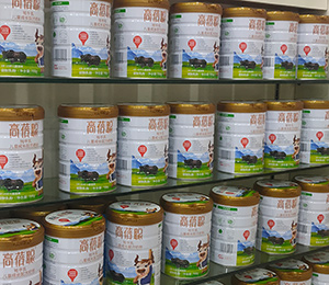 高蓓聰奶粉陳列1