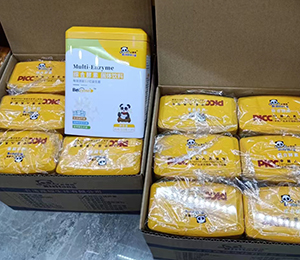  �ػ��� ʥ�Z�ܠI�BƷ��ЈD25