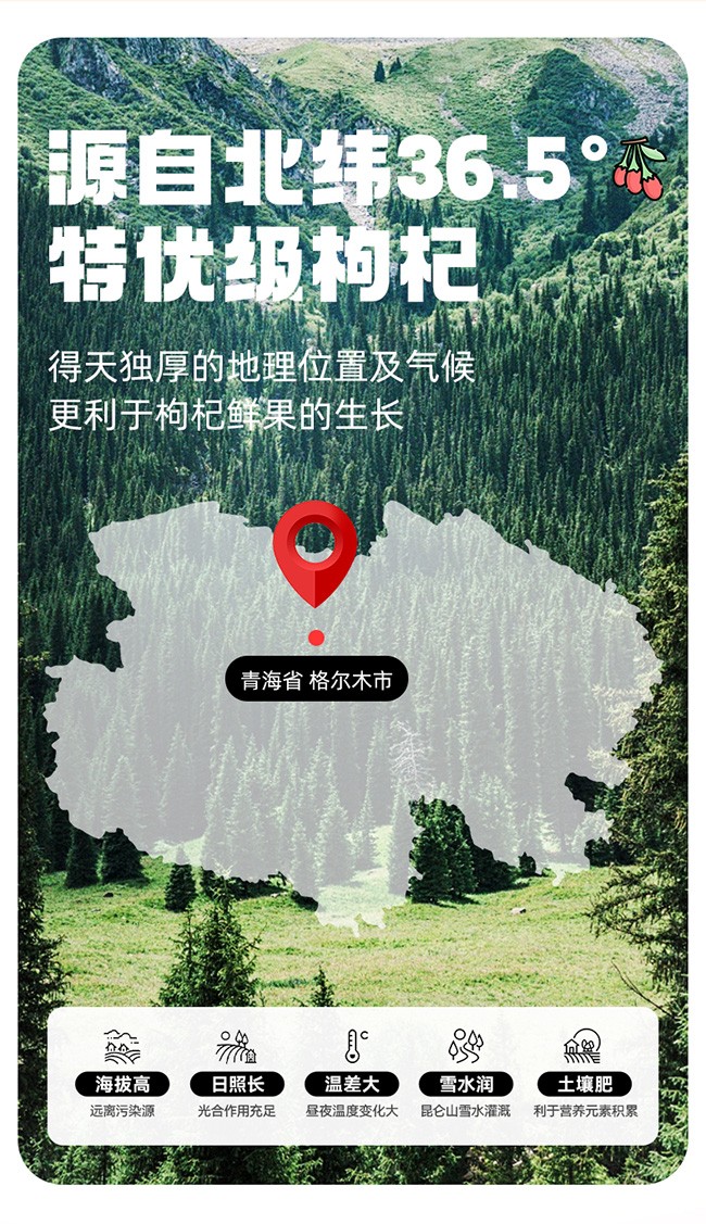 呀啦嗦枸杞干果100g牛皮紙袋詳情 (2).jpg