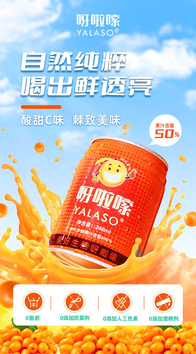 呀啦嗦沙棘果汁飲品248ml詳情 (1).jpg