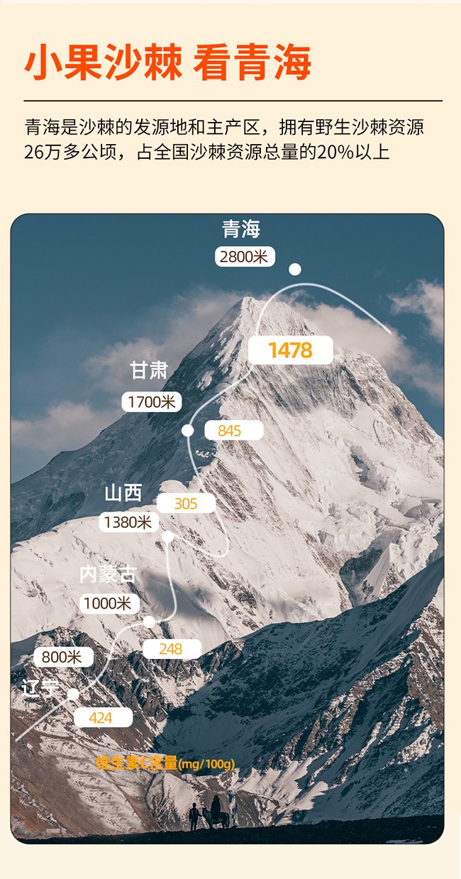 呀啦嗦沙棘油沙棘總黃酮凝膠糖果詳情 (10).jpg