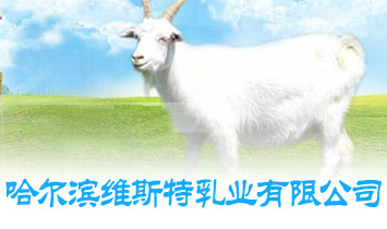 �����I�S˹����I���޹�˾