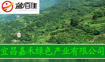 �˲��κ̾Gɫ�a�I���޹�˾