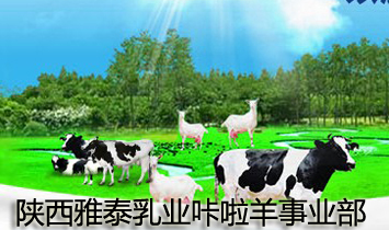 �����̩��I�������I��