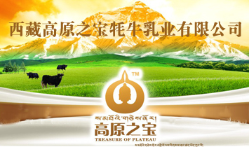 ���ظ�ԭ֮����ţ��I�ɷ����޹�˾