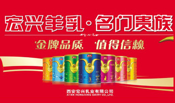 �������d��I���޹�˾