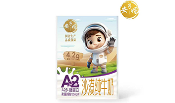 ������ɳĮ���I�����ɹţ����޹�˾