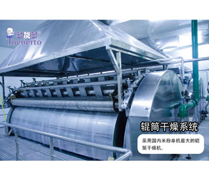 多能多輥筒干燥系統