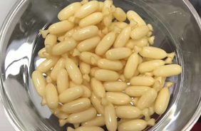 ���X��ͯ�I�BƷ����