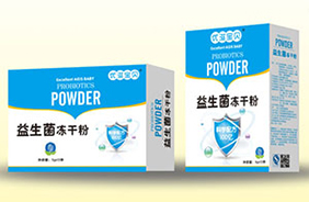 ���̌�ؐ������