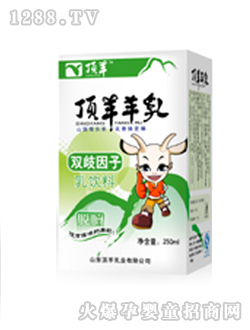 �p����������