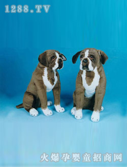 ���ҷ��������ɫ����