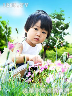 ���Ȑ�(��i)ؐ��Ұ��Č���