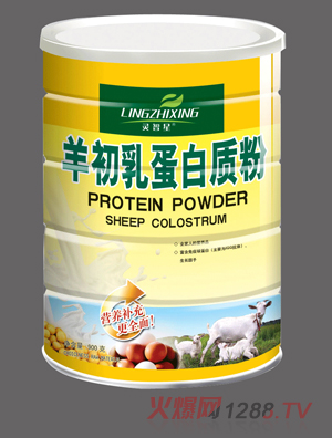 �`������鵰���|��