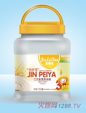 ���R������ѿ�������~�I�B�׷�