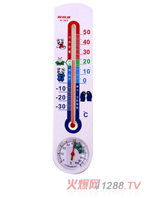 柯麗雅兩用室內溫水銀濕度計