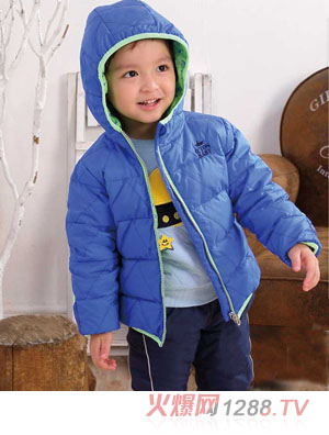 �޹�����q���{ɫ