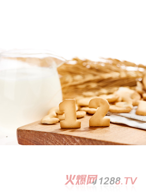 �݋댚�����-����