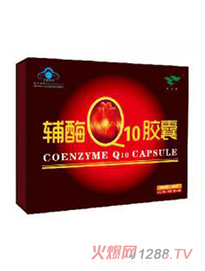 �G���@�oøQ10 �Y��