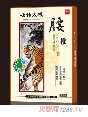 云藥太極腰椎醫用冷敷貼