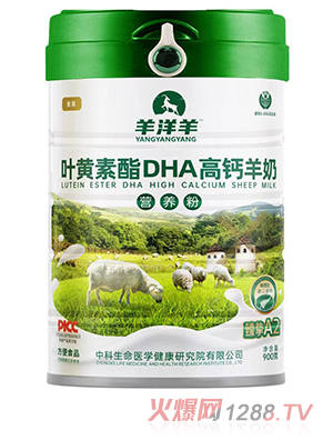 �������~�S����DHA���}���̠I�B��