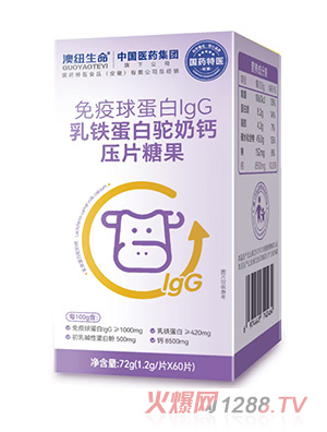 ��ˎ���t&��ˎ���F���F��������}Ƭ