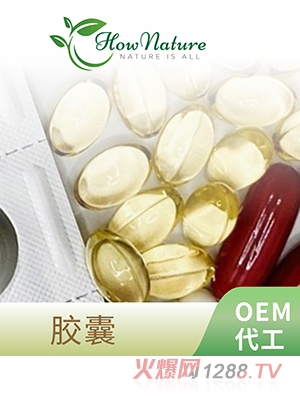 �z�� OEM����